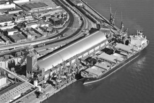 中國(guó)農(nóng)業(yè)走出去步伐加快 漸形成買全球賣全球格局